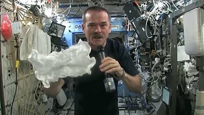 Chris Hadfield, astronauta: "Todas esas películas que dependen de congelar a la tripulación" se basan en algo que aún no sabemos hacer noticias imagen