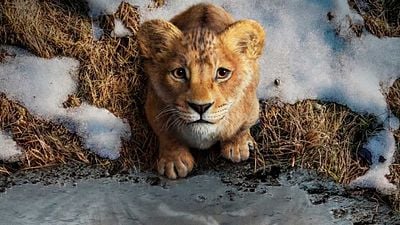 "Mejor que la versión de 2019": las primeras reacciones a 'Mufasa' elogian la "visualmente deslumbrante" precuela de 'El rey león' noticias imagen