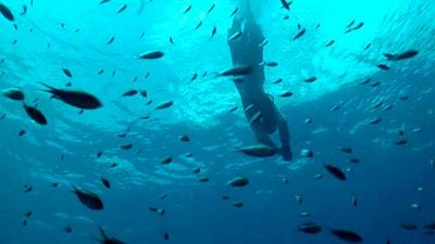 Hoy en TV, una de las mejores películas de aventuras de todos los tiempos que inició una franquicia de 4.500 millones de dólares noticias imagen