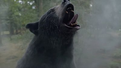 Sí, la historia del oso que consumió cocaína ocurrió de verdad y ahora tiene película (pero esperamos que hayan cambiado su triste final) noticias imagen
