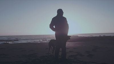 Sólo dura hora y media, está en ‘streaming’ y es una de las películas más demoledoras de este siglo noticias imagen