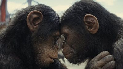 Si quieres ir al estreno de 'El Reino del Planeta de los Simios' habiendo visto la saga anterior completa, puedes hacerte con este pack en Blu-ray o verlas suscribiéndote a Disney+ noticias imagen