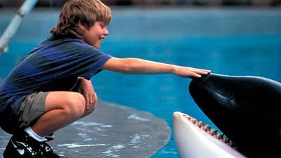 Qué fue de Jason James Richter, el niño que interpretó a Jesse en 'Liberad a Willy' que dejó de ser actor para dedicarse a la música noticias imagen