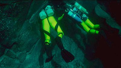 Llevo toda mi vida equivocada por culpa de esta película de terror: toda una saga sobre un peligro que no existe noticias imagen