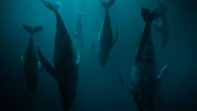 Gusanos de hielo explosivos y ballenas agresivas: Se estrena la serie de ciencia ficción que es más realista de lo que crees