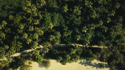 La nueva miniserie de Netflix arrasa en las listas de popularidad: Comienzas y termina en una sola tarde noticias imagen