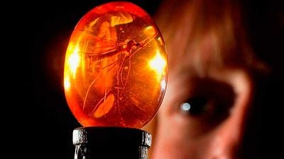 He tardado 30 años en descubrirlo, pero hay un agujero de guion en 'Jurassic Park' que desmonta por completo la película noticias imagen