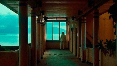 David Fincher es duro de pelar, pero en 2022 quedó cautivado por esta película: "En veinte años, debo haberlo visto unas cinco veces feliz" noticias imagen