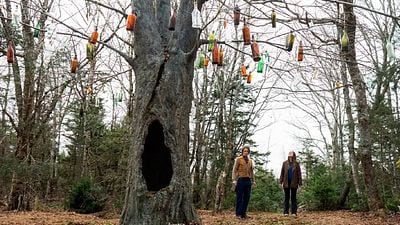 'From' revela una de las mayores incógnitas de la serie: Los números de los árboles de botellas, explicadas noticias imagen