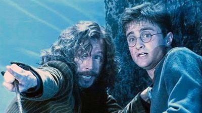 "Les deseo suerte con ello": Gary Oldman cree que la serie 'Harry Potter' juega con ventaja respecto a las películas, al menos en un aspecto noticias imagen