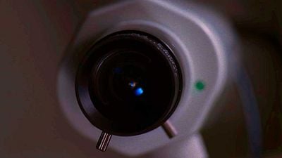 Está en Netflix, ganó 4 premios Oscar y es uno de los mejores thrillers que existen noticias imagen