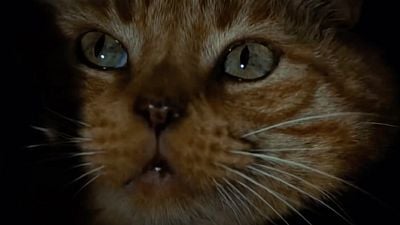 4'5/5 estrellas: La mejor película de terror para los usuarios de SensaCine es este filme de ciencia ficción cuyas últimas secuelas no han sabido continuar su legado noticias imagen