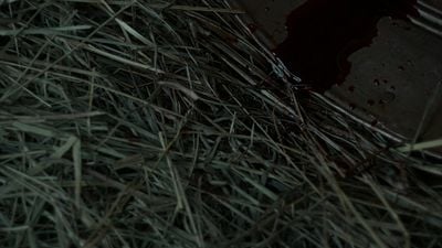 Sólo dura hora y media, está en Netflix, y es la película de terror que tienes que ver antes de ‘Nosferatu’ noticias imagen