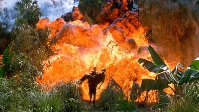 'Forrest Gump' reventó un bosque mientras su director estaba en el baño: era la escena más cara y solo tenían una oportunidad, pero Zemeckis se lo perdió noticias imagen