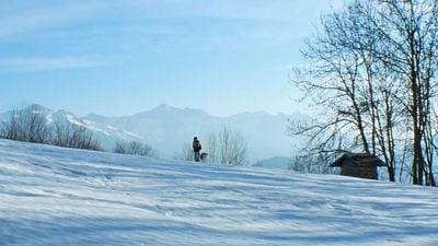Hoy en TV, un thriller ganador del Oscar con un final abierto que te deja pensando durante varios días noticias imagen