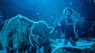 Es una de las series más adictivas de los últimos años, por lo que no han dudado en renovarla por una temporada 4 noticias imagen