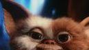 El remake de 'Gremlins' será en 3D