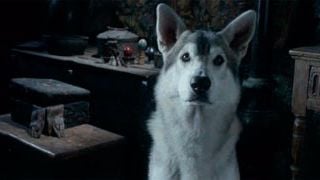 'Juego de tronos': ¡¡Natalia Tena da nuevos detalles sobre los lobos huargo en la segunda temporada!! noticias imagen