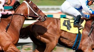 'Luck' deja de usar caballos tras la muerte de un tercer equino noticias imagen