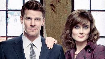 Fox España estrena la 8ªT de 'Bones' el 26 de octubre noticias imagen