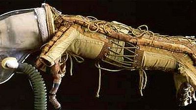 'Guardianes de la galaxia': ¿Pista de James Gunn en Twitter? noticias imagen