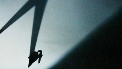 'The After': Amazon Studios ordena el piloto escrito por Chris Carter noticias imagen