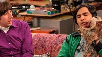 'The Big Bang Theory': ¿Un nuevo amor para Raj en la séptima temporada?