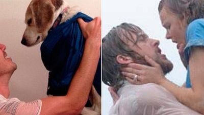 'El diario de Noa', 'Dirty Dancing', 'Titanic' y otras películas recreadas por un hombre y su perro noticias imagen