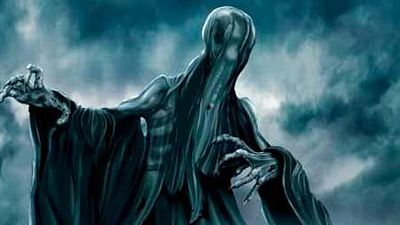 Los Dementores de 'Harry Potter' dan nombre a una nueva especie de avispa noticias imagen