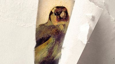 Warner Bros., interesada en llevar al cine 'El jilguero', premio Pulitzer de ficción 2014 noticias imagen