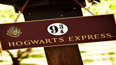 ‘Harry Potter’: Un fan de la saga le pide matrimonio a su novia con una varita de Ollivanders noticias imagen