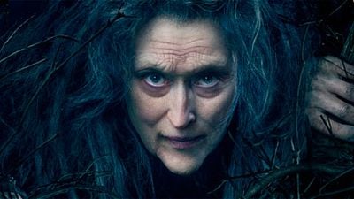 'Into the Woods': ¡Mira la vulgar advertencia que recibió Meryl Streep del creador del musical! noticias imagen