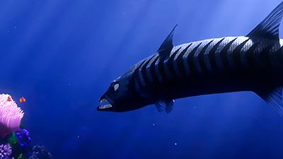 Un estudio asegura que las películas de animación para niños son un "hervidero de asesinato y caos" noticias imagen