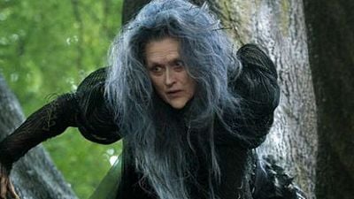 Meryl Streep coincide con Russell Crowe en que los actores deberían interpretar papeles ajustados a su edad noticias imagen