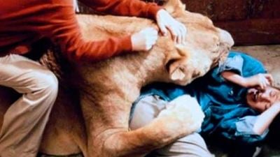 'Roar': Durante el rodaje de esta película ningún animal sufrió daños, pero ¿y los humanos? 