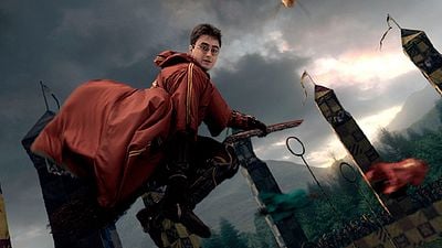 'Animales fantásticos y dónde encontrarlos': Publican un nuevo libro de reglas del Quidditch noticias imagen