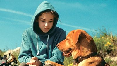 'White God': ¿Qué pasaría si los perros dominaran el mundo? noticias imagen