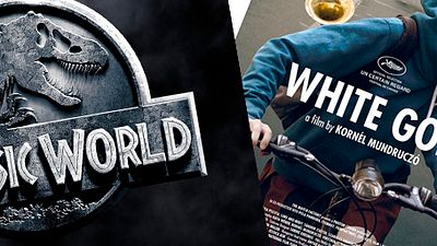 Amigos de Sensacine: Nuestros blogueros opinan (S3 de Junio) noticias imagen