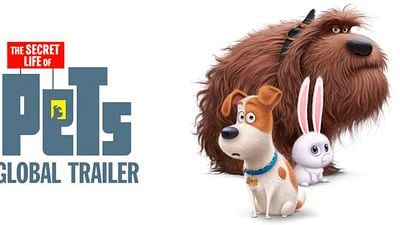 'Mascotas': Los animales se quedan solos en casa en el divertidísimo primer tráiler noticias imagen