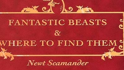 'Animales fantásticos y dónde encontrarlos': Abierto el casting para encontrar a una de niña de entre 8 y 12 años noticias imagen