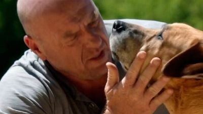 La bella historia de Kato, el perro de 'La cúpula' noticias imagen