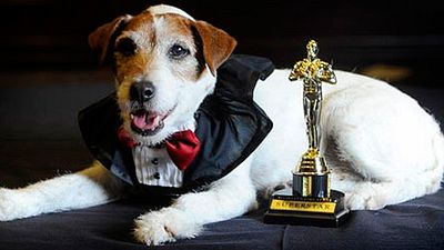 Uggie, el perro de 'The Artist', muere a los 13 años noticias imagen