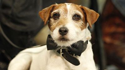 Las 15 mejores fotos de Uggie, el perro de 'The Artist' 