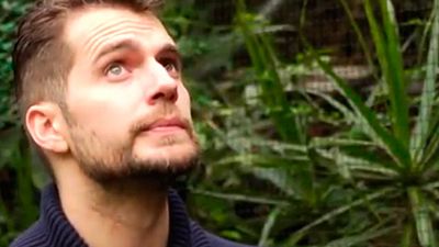 'Batman v Superman': Henry Cavill adopta a un murciélago llamado Ben noticias imagen