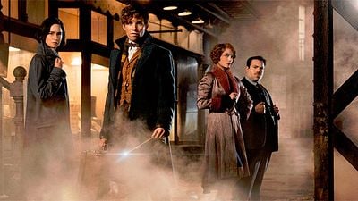 'Animales fantásticos y dónde encontrarlos': El productor de 'Harry Potter' habla de la precuela noticias imagen