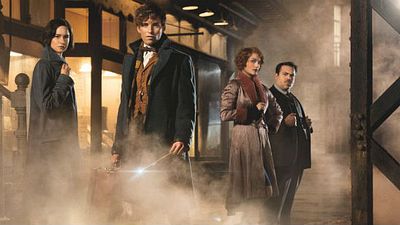 'Animales fantásticos y dónde encontrarlos': El productor promete que el 'spin-off' mantendrá el espíritu de 'Harry Potter' noticias imagen