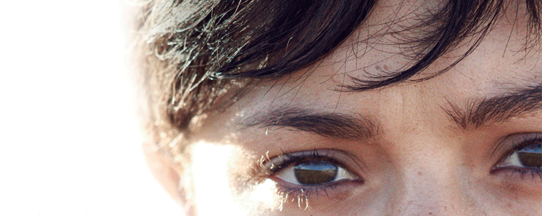 'El olivo': Póster en EXCLUSIVA de lo nuevo de Icíar Bollaín noticias imagen