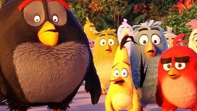 'Angry Birds': Red lidera un grupo de pájaros furiosos en el nuevo tráiler en castellano noticias imagen