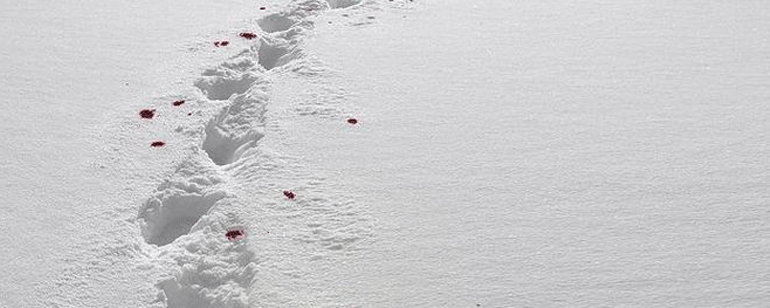 'Juego de Tronos': Nuevo e intrigante póster de la sexta temporada  noticias imagen