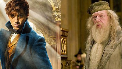 'Animales fantásticos y dónde encontrarlos': J.K. Rowling habla sobre la conexión entre Dumbledore y Newt Scamander noticias imagen